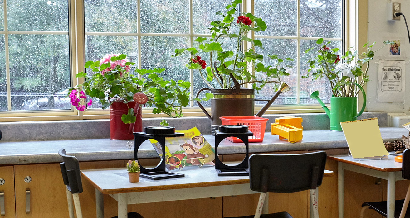 An empty classroom with plants